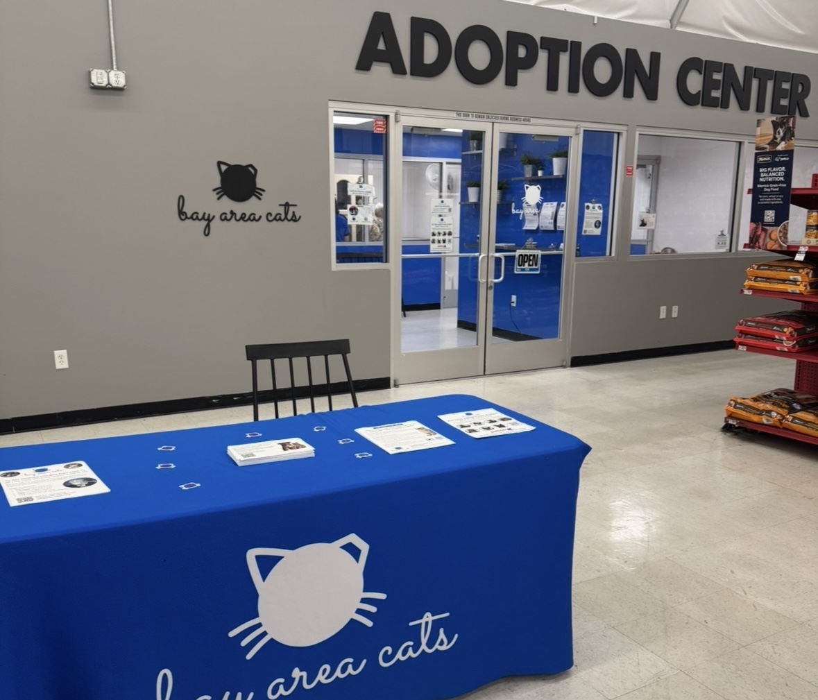 Adoption center