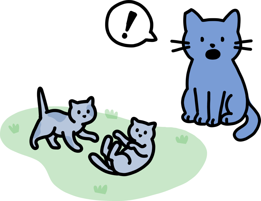 A mom cat watching her kittens play
