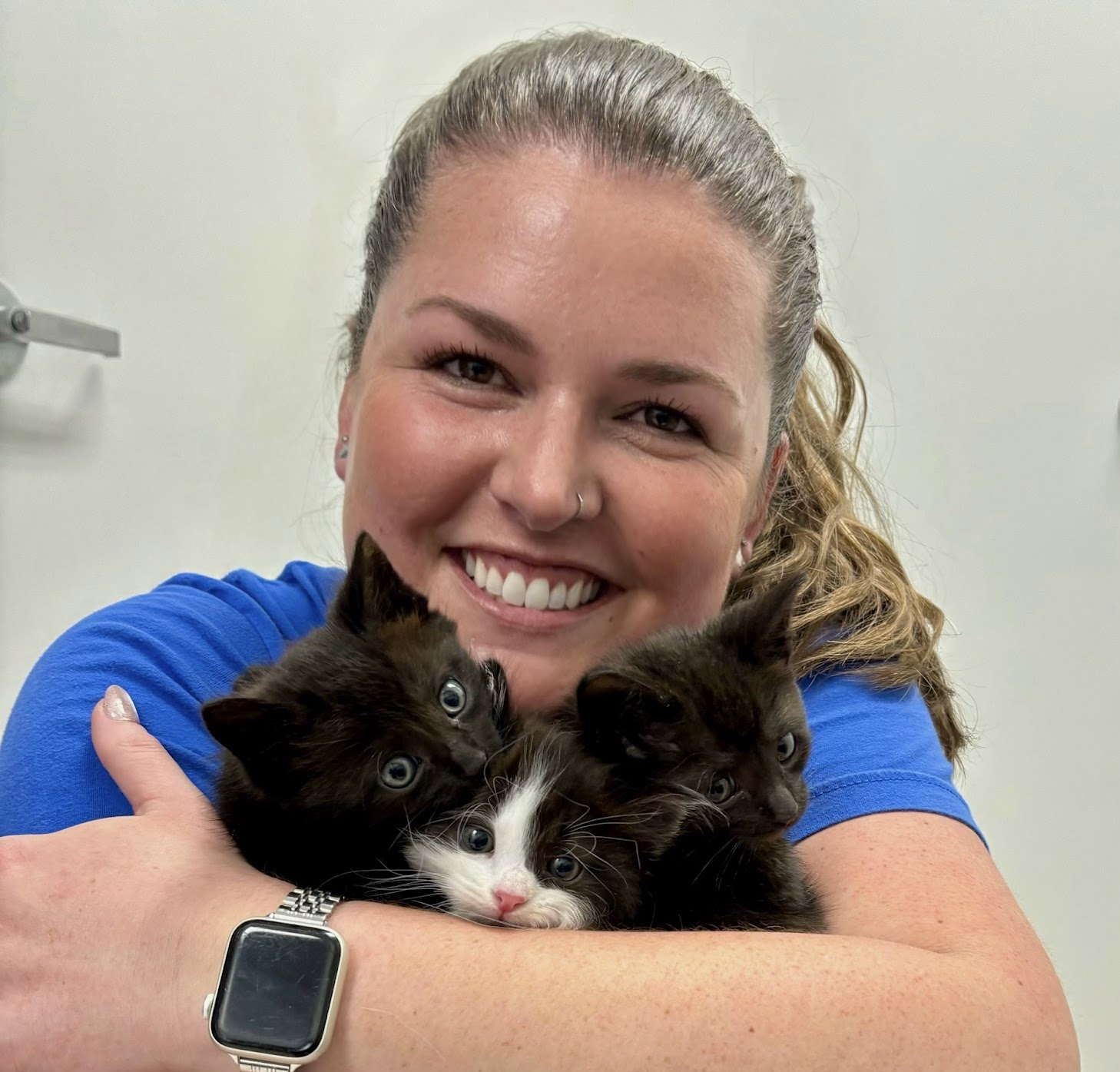 Volunteer with Bay Area Cats